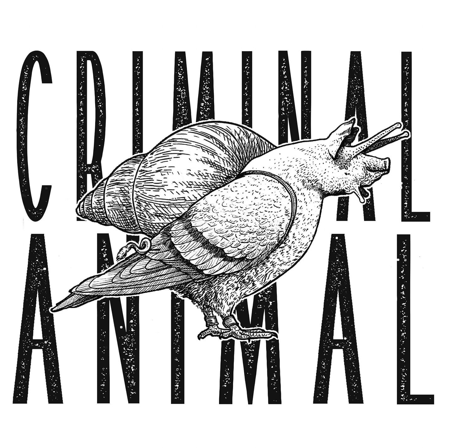 CRIMINAL ANIMAL